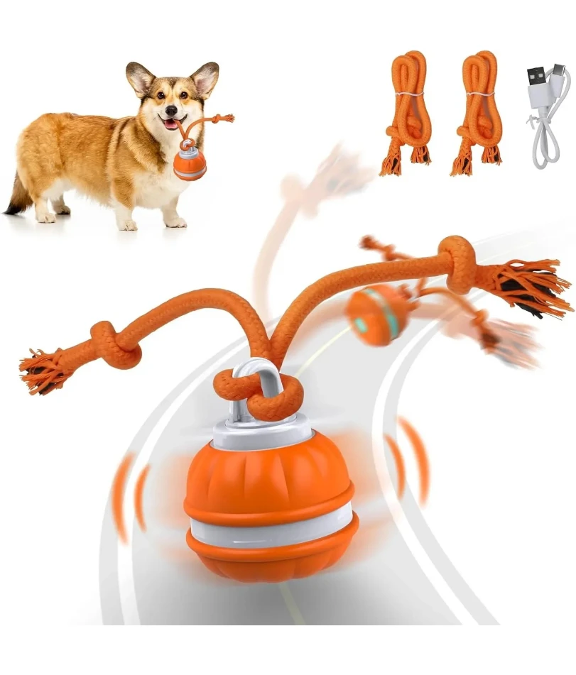 

Pet Ball for Dogs Interactive Toys Motion Activate Rolling Ball for Puppy/Small Dogs Automatic Moving Toy USB Rechargeable Toy