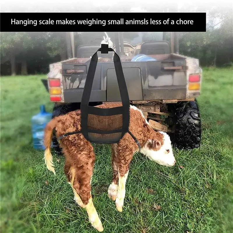 DT15 Calf Sling for Weighing Small Animals, 4 Pack Livestock Sling Hanging Weight Scale Sling for Calves 220lbs