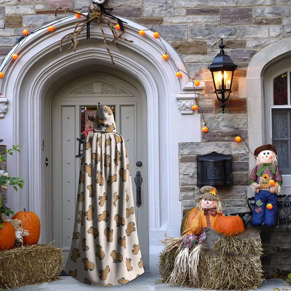 Capybara longue Cape à capuche sorcière Costume médiéval Cosplay Cape Halloween manteau adulte unisexe