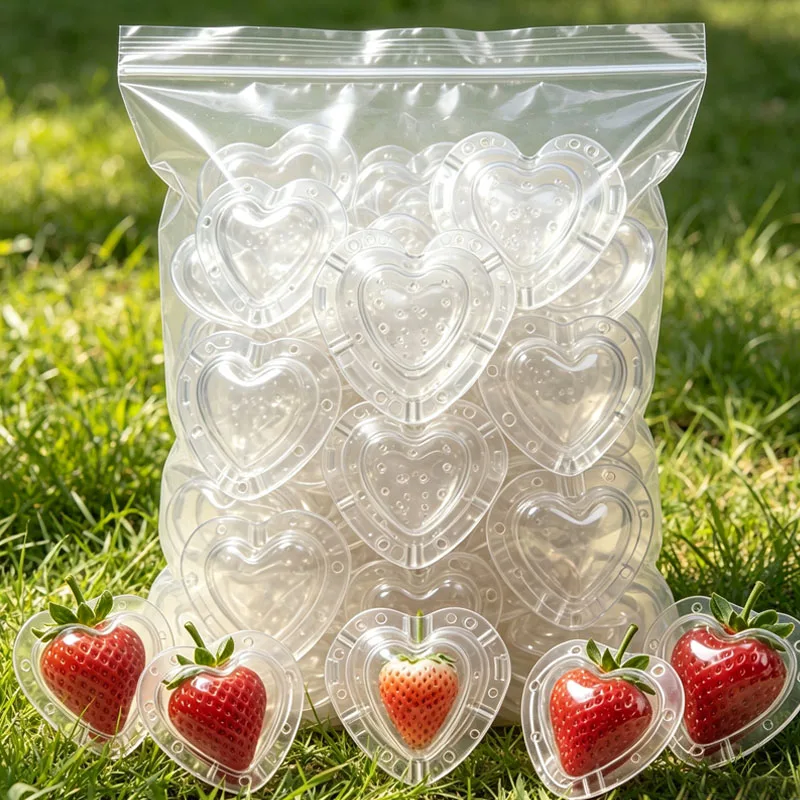Heart Shaped Fruit Growing Mold Transparent Vegetables Shaper for Strawberry Apple Pear Garden Creative Planting Tools with Rope