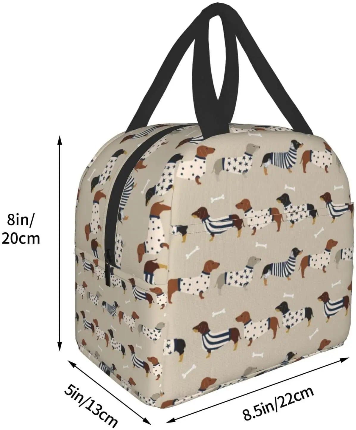 Dachshunds Insulated Tote Lunch Bag for Women & Men, Reusable Portable Thermal Cooler Box for Work Picnic Travel