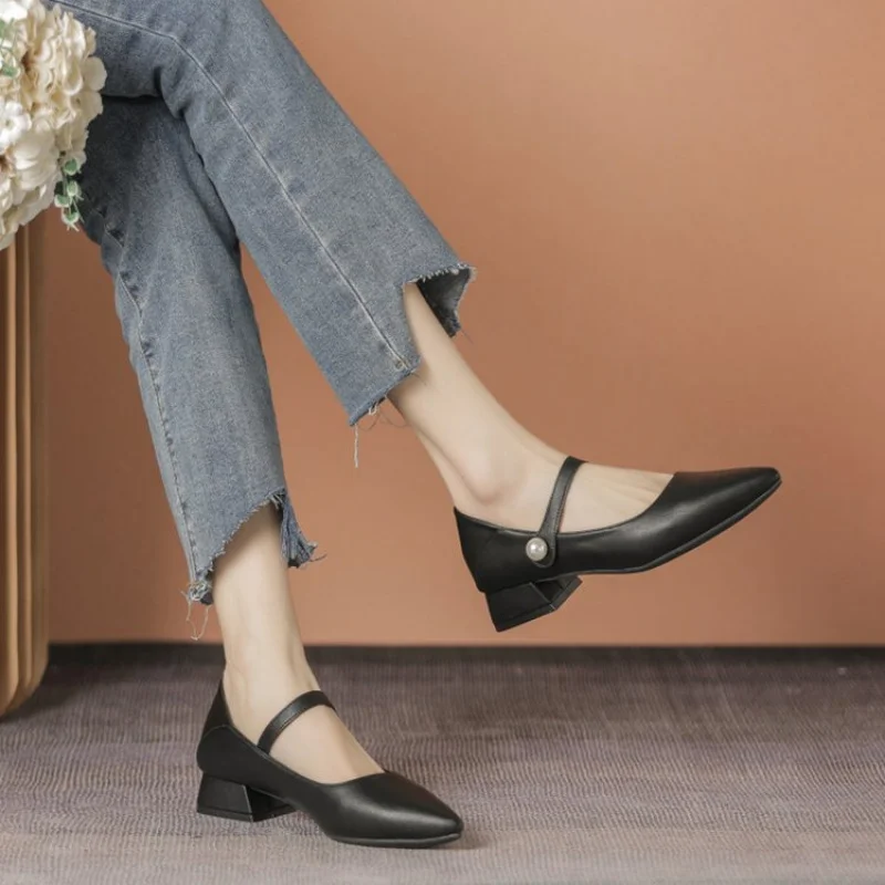 2026 Frühling/Herbst Professionelle Damenschuhe - Spitze Mary Jane Schuhe mit Blockabsatz, Schlichte Elegante Pendlerschuhe