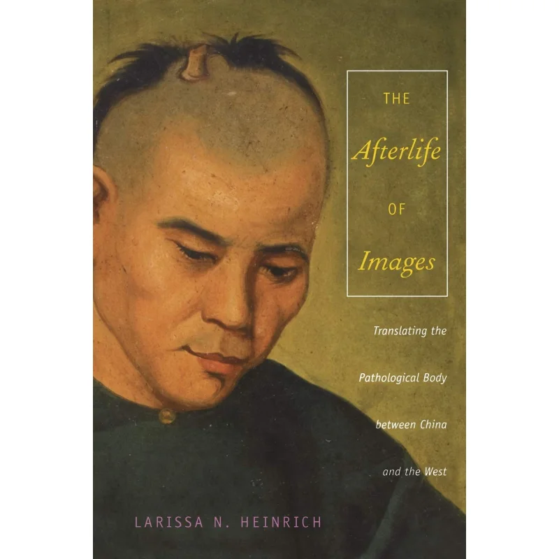 

The Afterlife Of ImagesTranslating The Pathological Body Between China And The West Ari Larissa Heinrich 9780822341130