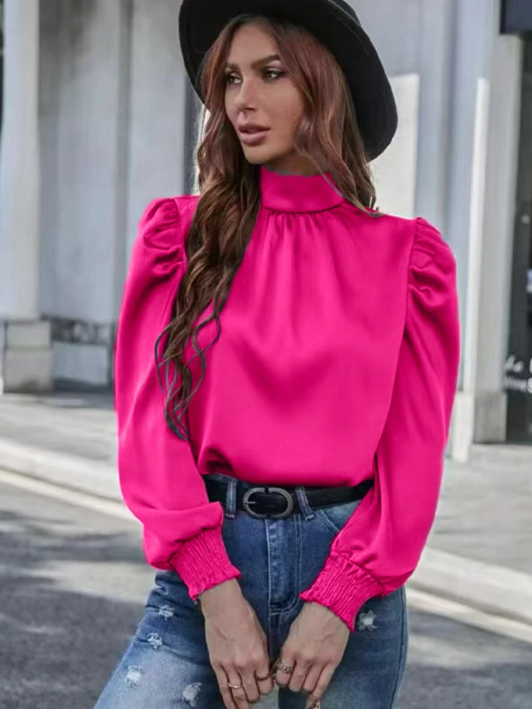 2024 spring new elegant semi-high neck bubble long sleeve pleated fitted blouse blouse