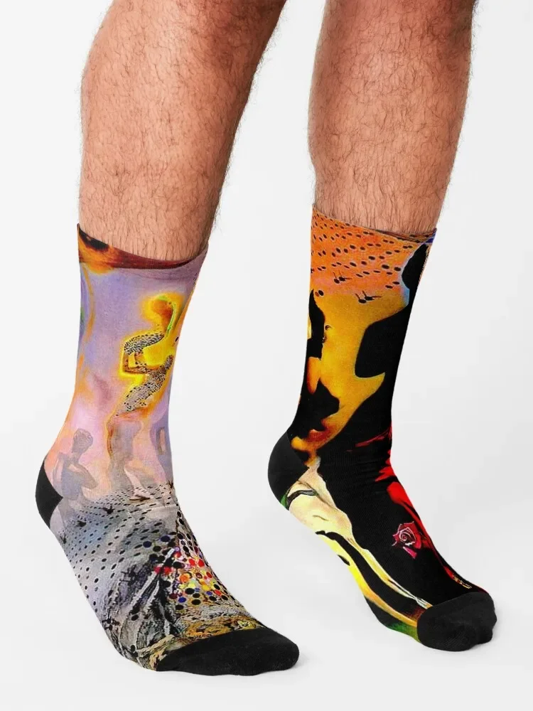 VENUS DE MILO : VintageAbstract Surreal Print Socks winter gifts bright garter Socks Men Women's