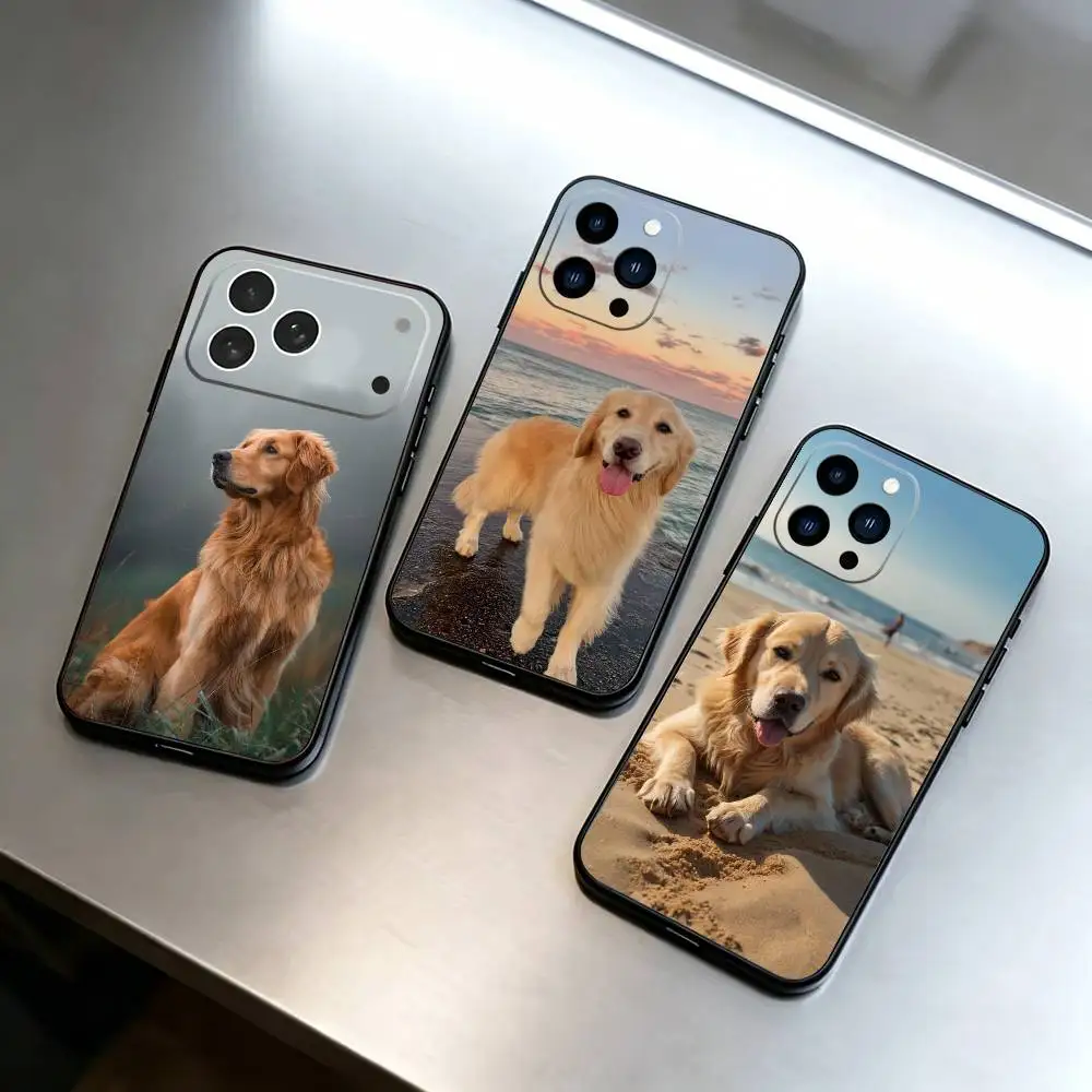 

Golden Retriever Animals Phone Case Silicone Soft For IPhone 17 16 15 14 13 12 11 X XR Plus Pro Max Plus