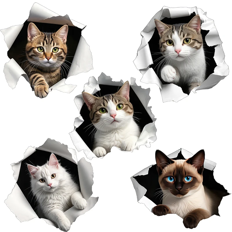 Three Ratels CG99 Fun cat animal stickers for home decoration waterproof car body decals