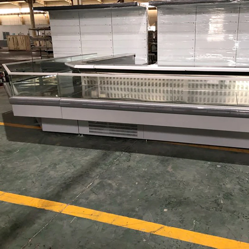 Refrigerator equipment display case displaying fresh meat/fish/cheese