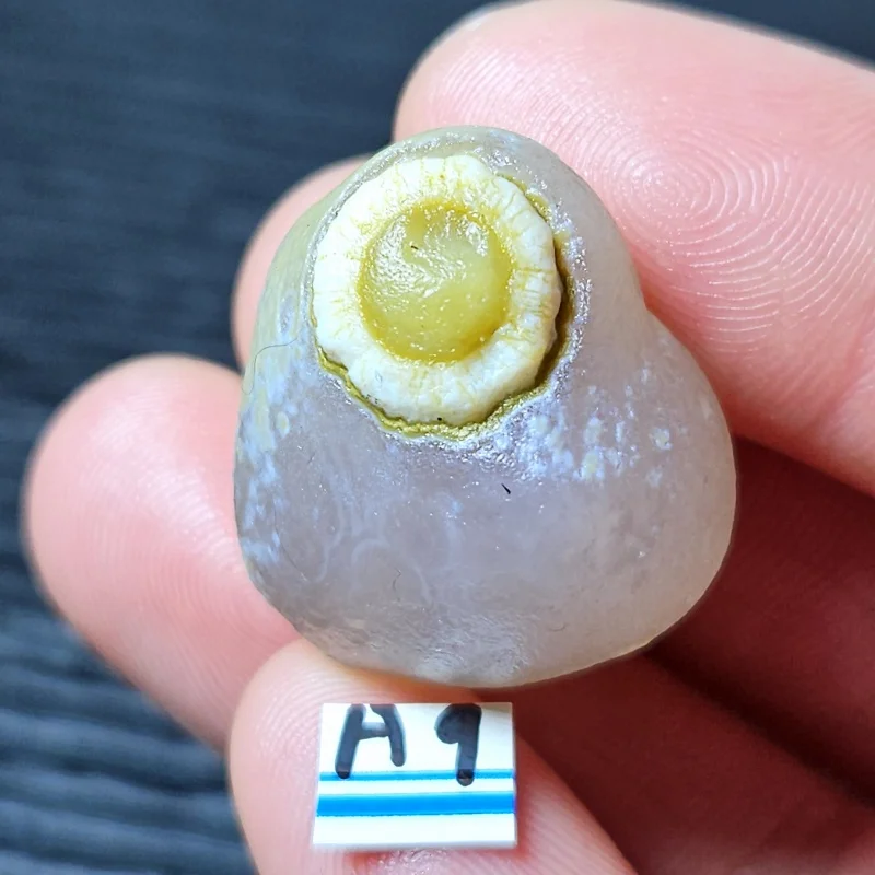 Natural Moroccan agate chrysanthemum shape mineral specimen Crystal healing office desktop decoration