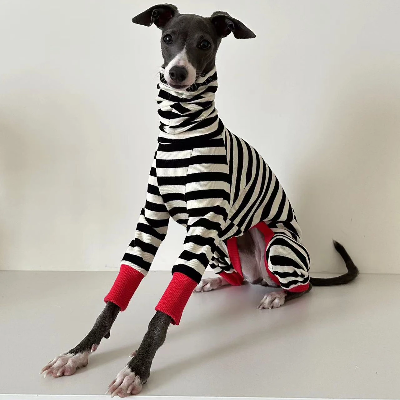 

2025 Winter Warm Italian Greyhound Striped Four-Legged Soft Stretchy Whippet Dog Clothing Warm Cozy Petwear for Small Dogs