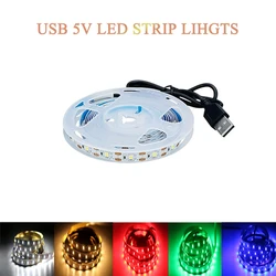 Warm White Red Blue Green 5V USB Led Strip Lights With Touch Switch Battery Box For Tv Bedroom Living Gaming Room Car Home Decor