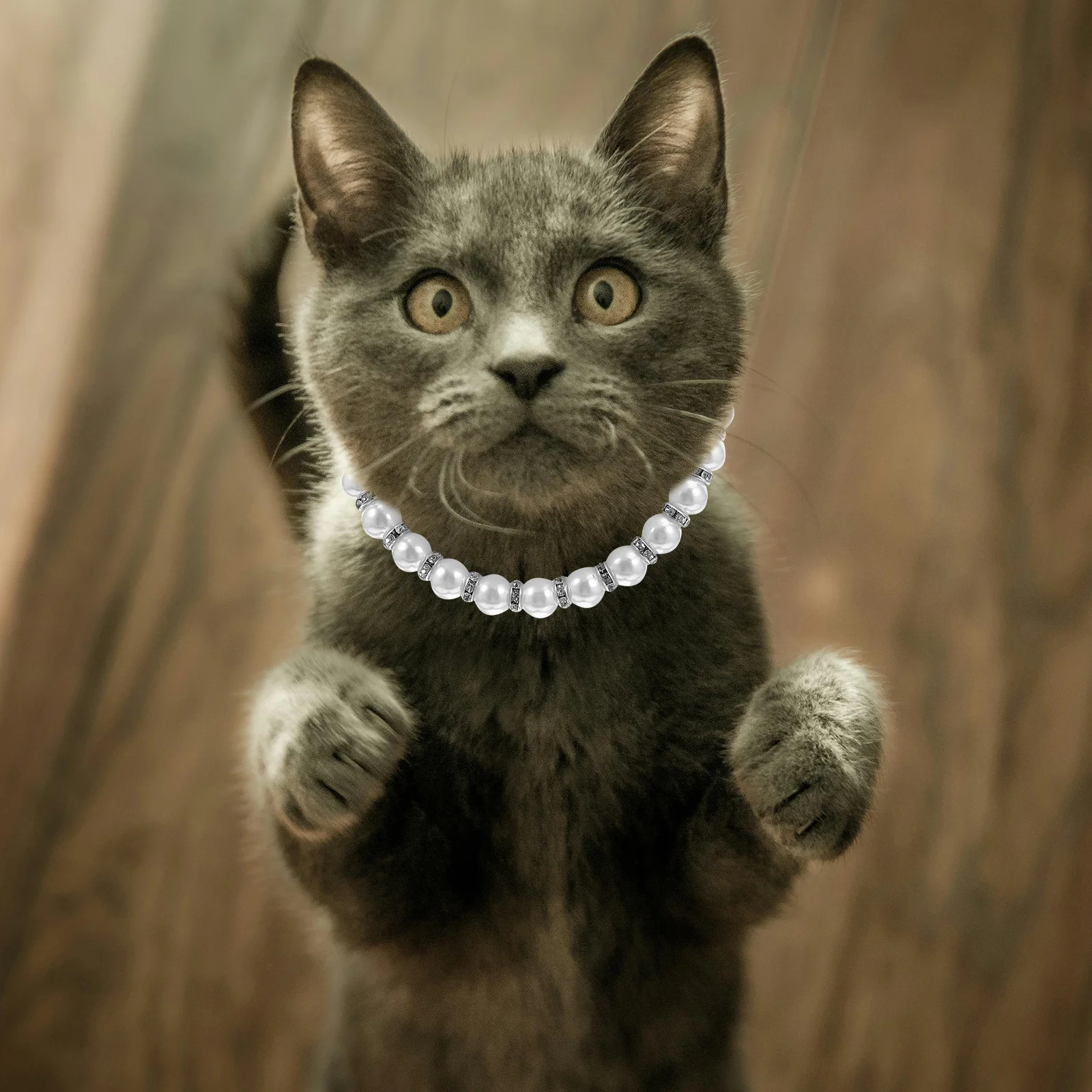 الكلب القط قلادة طوق تقليد اللؤلؤ بلينغ الملحقات الشريط القوس مجوهرات الأبيض مادة متينة مريحة تناسب