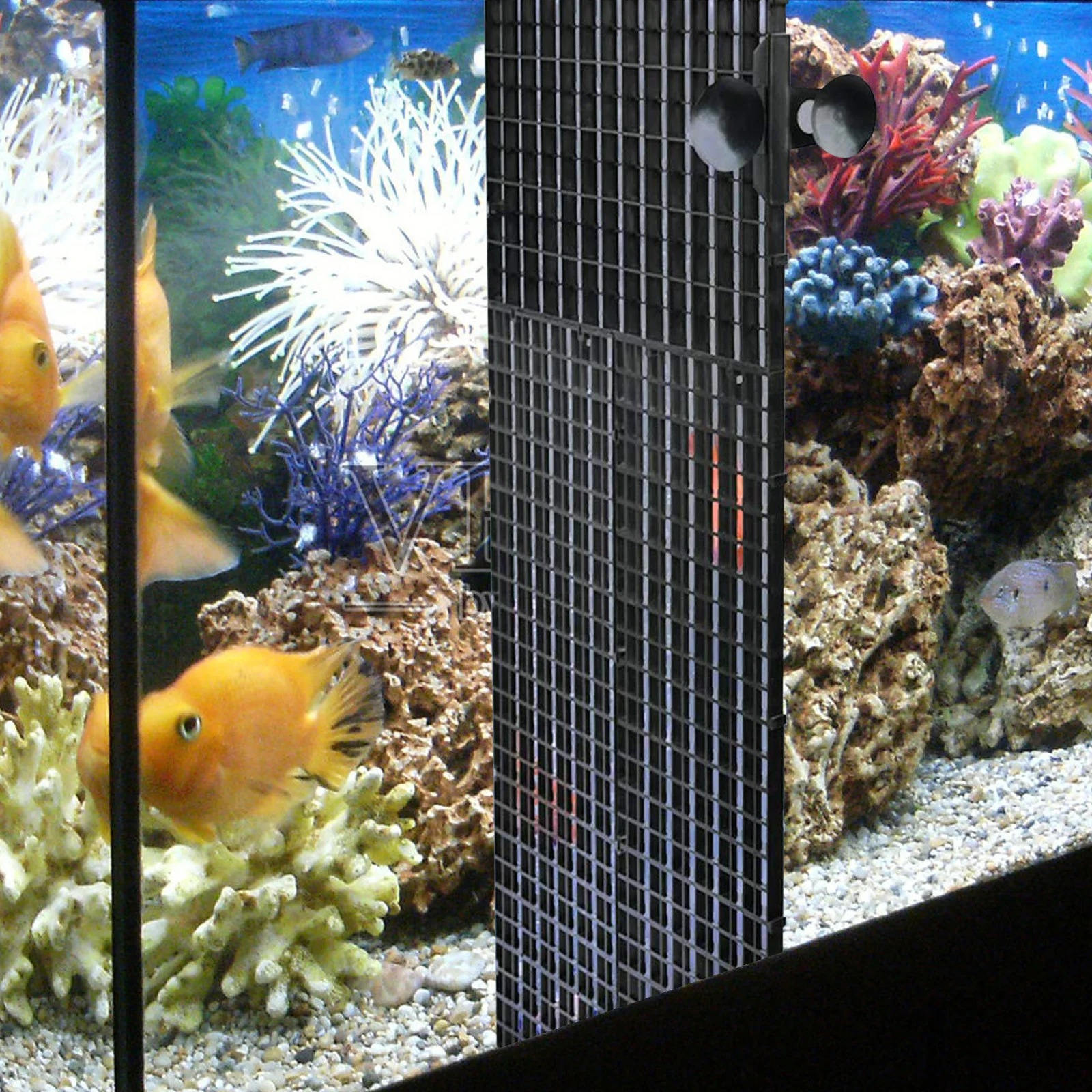 Fish Tank Partition Set Aquarium Supplies Divider Tray Plastic Grid Bottom