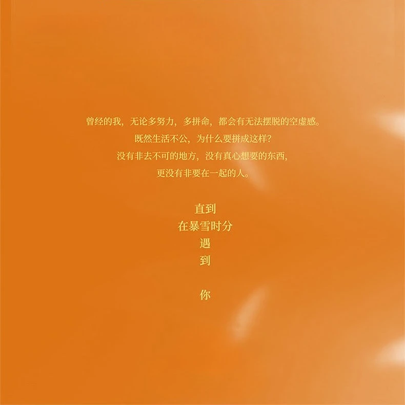 In The Blizzard Is A Young Adult Romance Novel book.