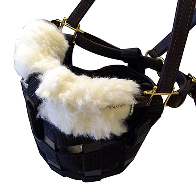 Zimowy, gruby, pluszowy kaganiec dla konia, zapobiegający gryzieniu, sprzęt do treningu i ochrony podczas pasowania.