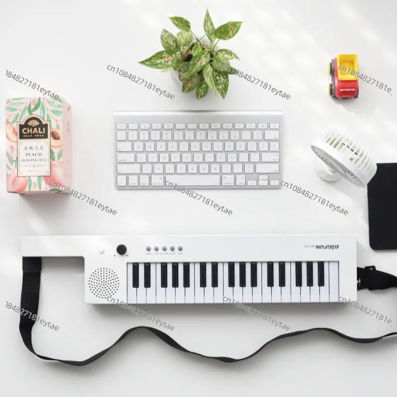 Children's Electronic Organ 37 Keys with Microphone Piano Instrument Music Gift TikTok Ji