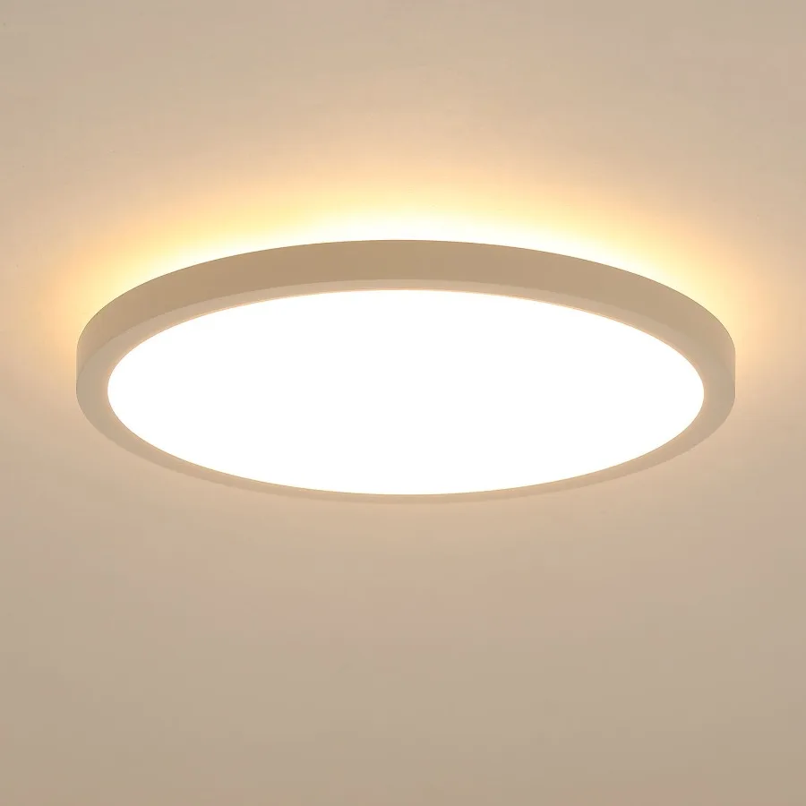 

11.8 Inch Flush Mount Ceiling Light 20W LED+Nightlight Ceiling Light Fixture for Kitchen Bedroom Living Room