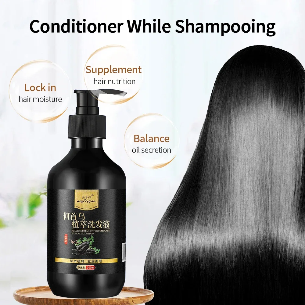 Shampoo anti-caspa para cabelos, preto, Ganoderma Polygonum Multiflorum, controle de óleo, alisamento do cabelo, fofo, 300ml