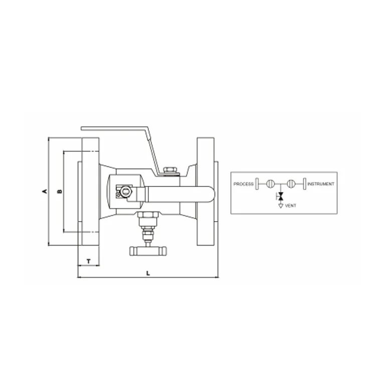 Double Flange Manifold Instrument Needle Valve