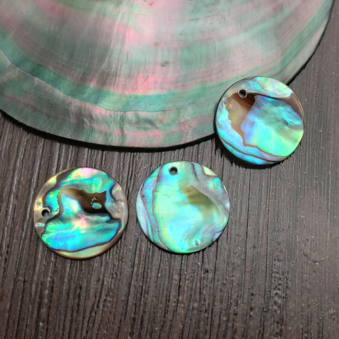 4pcs 19mm Natural Paua Abalone Shell Disc Pendant Beads for Jewelry Making with Hole