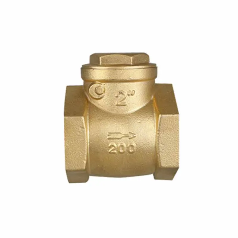 

5Pcs Perry horizontal check valve, thickened anti-backflow swing check valve, one-way valve, water meter water pipe one-way valv