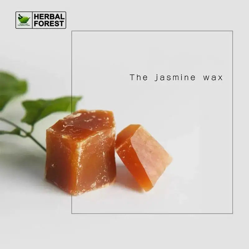 Natural Plant Jasmine Wax DIY Lip Balm Cream Fragrance Home Scented Candle Handmade Soap Raw Material