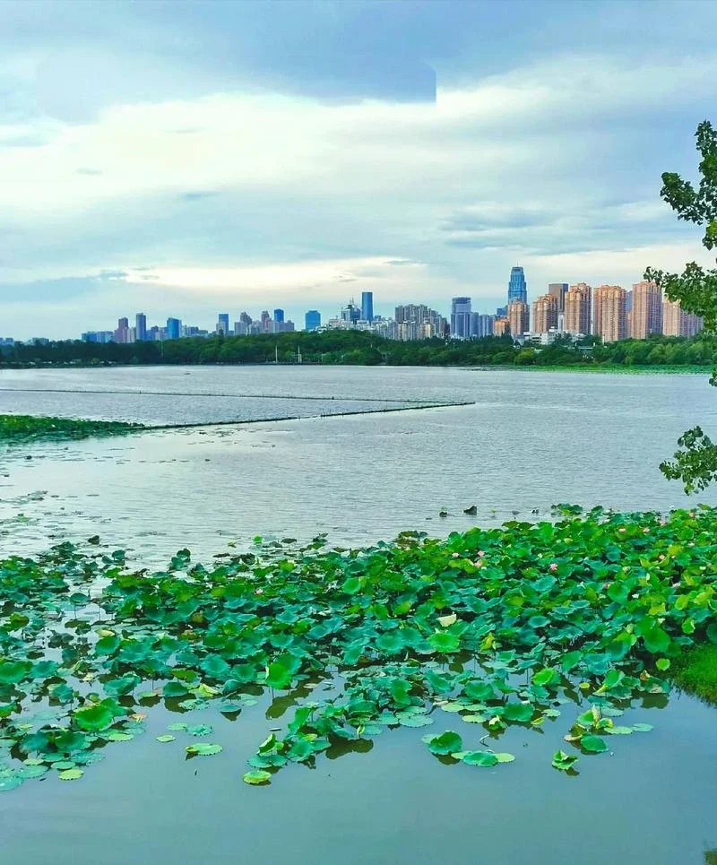 

For MG ZS 2022 MGZS EV 2021 MGZSEV 2020 2019 2018 Car Mud Flaps Mudguards Splash Guards Mudflap Fender Wheel Baffle Accessories