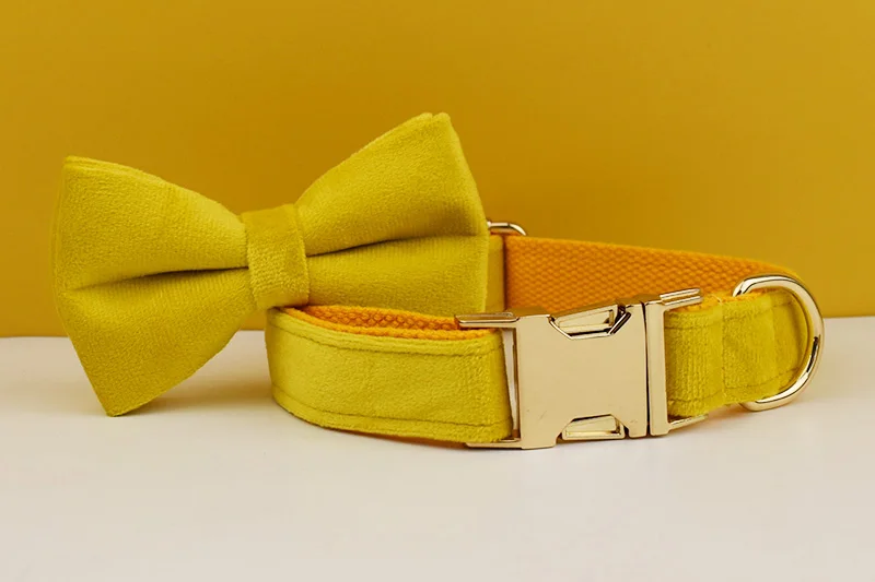 Gelbes Samt-Hundehalsband und Leinen-Set für kleine, mittelgroße und große Hunde, individuell graviertes Namensschild, Heimtierbedarf, Hundeleine, Velvet04 – Detail 6