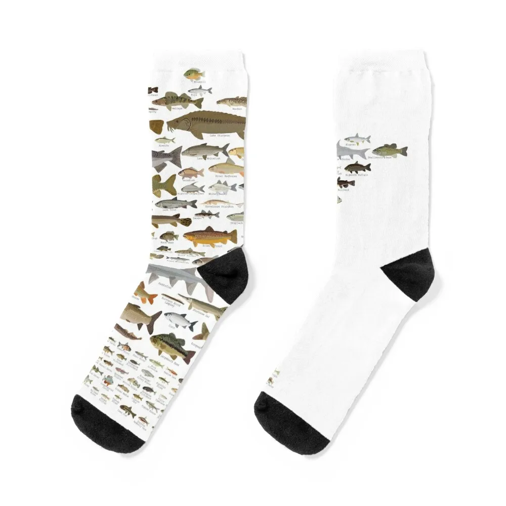 

Fishes of Minnesota Socks loose funny sock Men's Socks Luxury Women's