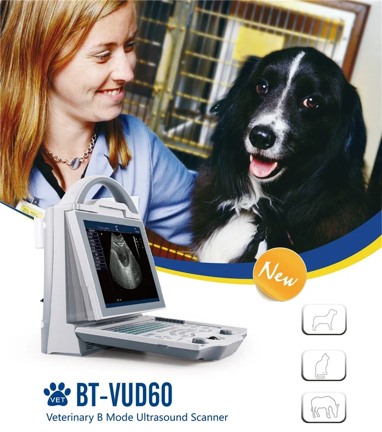 BT-VUD60 Veterinary Sheep Horse Pig Dog Clinic Portable Vet Equipment Ultrasound Scanner Machine