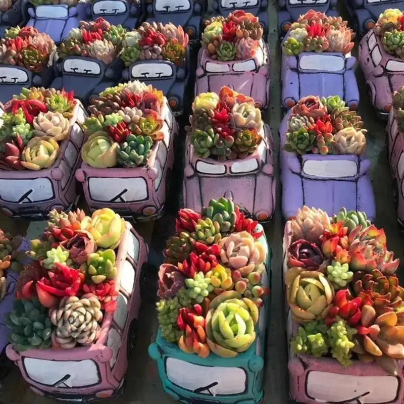 Y88A Pequeno motocar