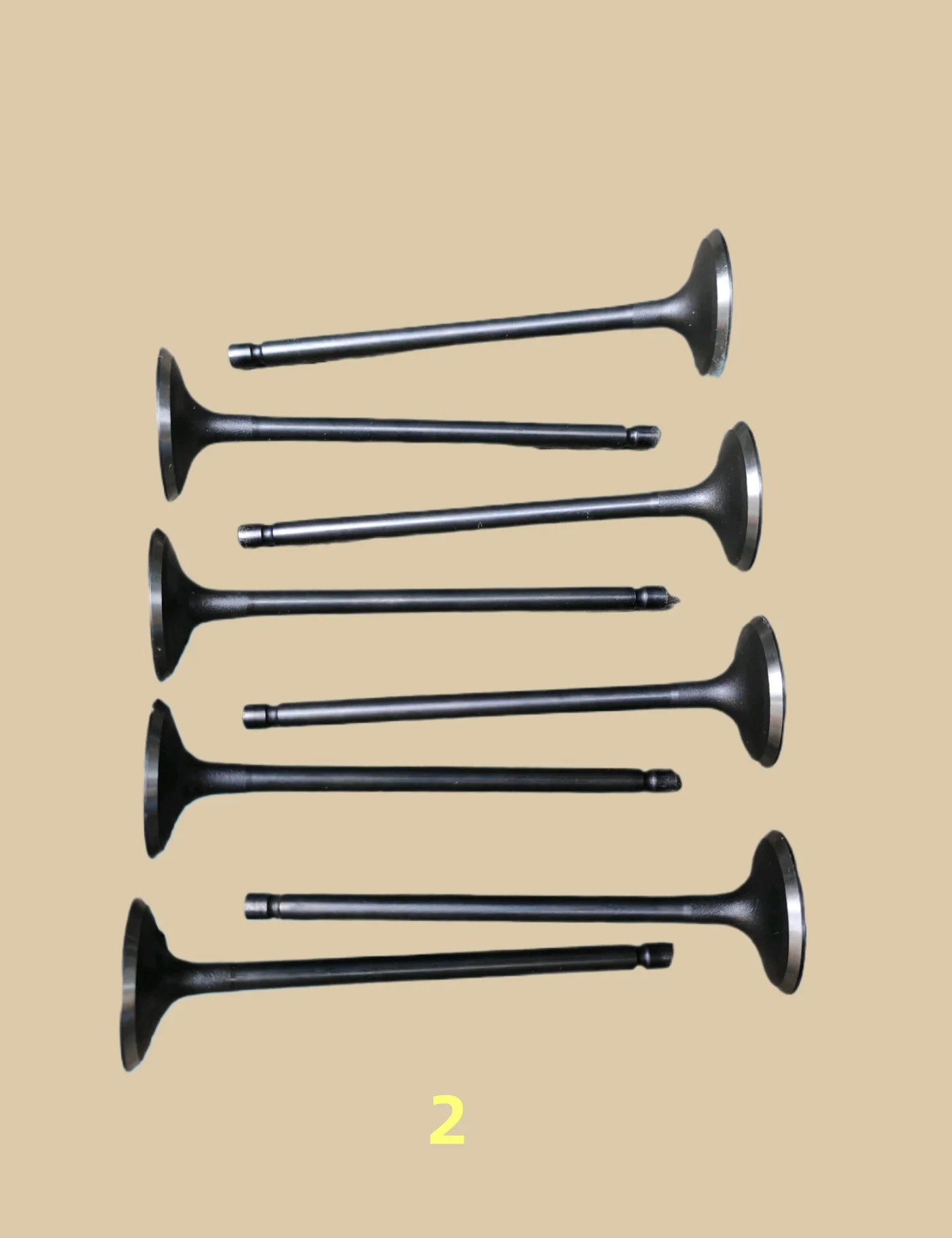 

Original Jacm5 Exhaust Valve 1003201gd190 8pcs High Quality