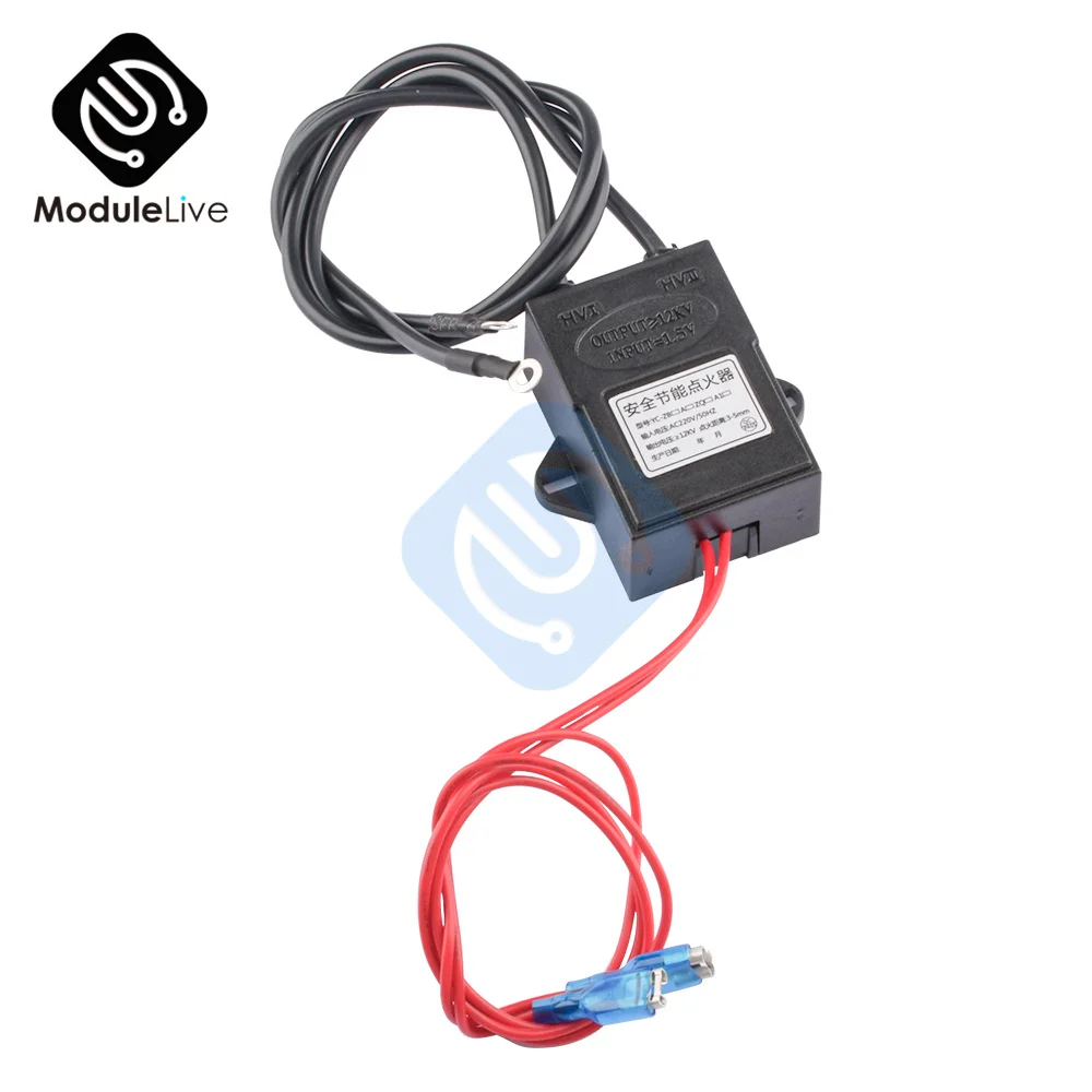 New AC 220V High Voltage Generator Module Continuous Igniter Pulse Generator Inverter Step Up Power Converter Transformer 20000V