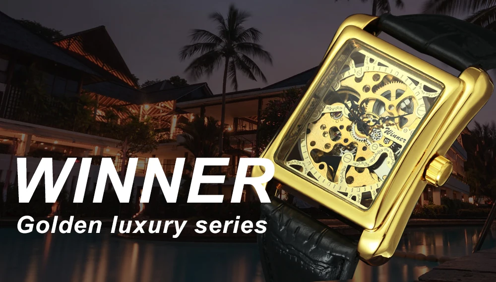 WINNER Vintage Skeleton Mechanical Watch for Women Classic Elegant Ladies Watches Leather Strap Business Unisex Wristwatches