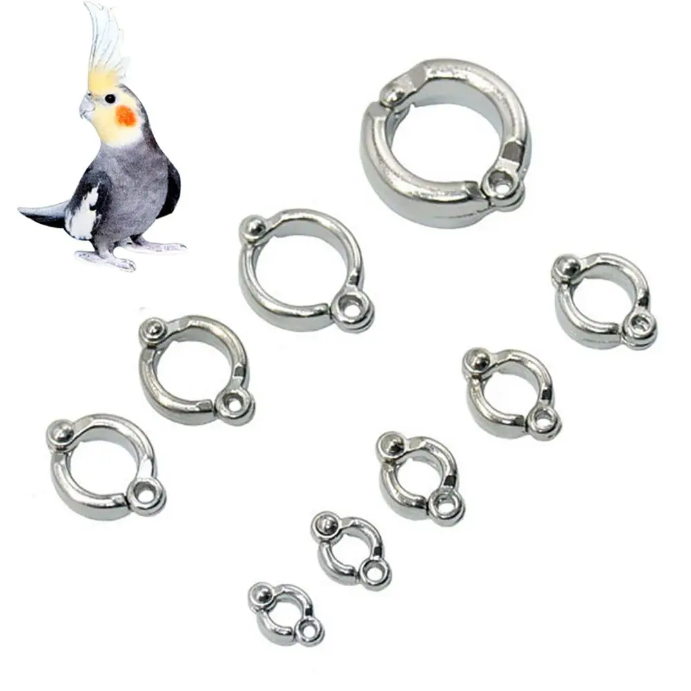 

Metal Anti Escape Anti-Lost for Pigeon Clip Bird Supplies Parrot Foot Rings Bird Leg Rings Bird Leash Accessories
