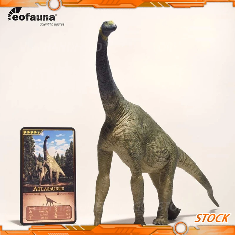 In Stock Eofauna Acanthurus Nigrofuscus Dinosaur Model 30cm Static Statue Toy Paleontological Model Apatosaurus Atlasaurus