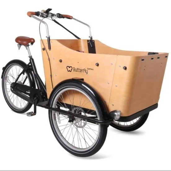 

High Quality Middle Motor Family Three Wheels Electric Cargo Bike Bicycle Electric Tricycle