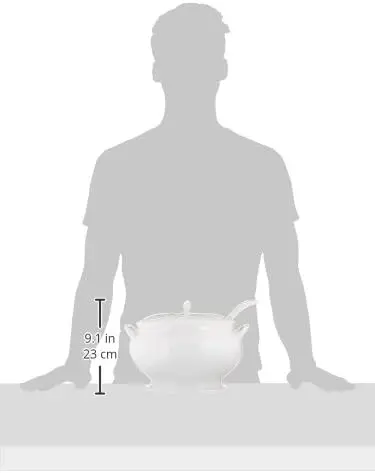 Sopa de sopa coberta esculpida Opal Innocence com concha, 10-1/4 polegadas, branca, 152 onças