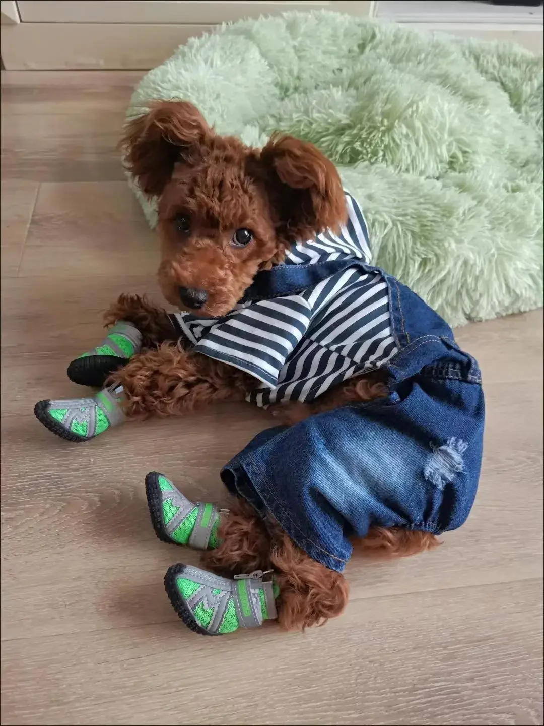 Dog Breathable Mesh Teddy Bears Pet Shoes Dog Rain Shoes Small Dog Shoes Set of 4