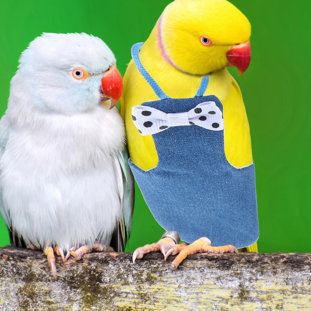 

Bird Diaper Parrot Flight Suit Reusable Washable Supple Texture Perfect for Daily Wear Safe for Outdoor Activities