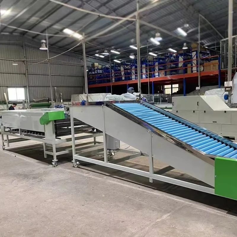 Picture 5: High-Speed Automatic Fruit Vegetable Sorting Equipment Size Grading Machine for Mango Other Vegetables Enhanced Efficiency