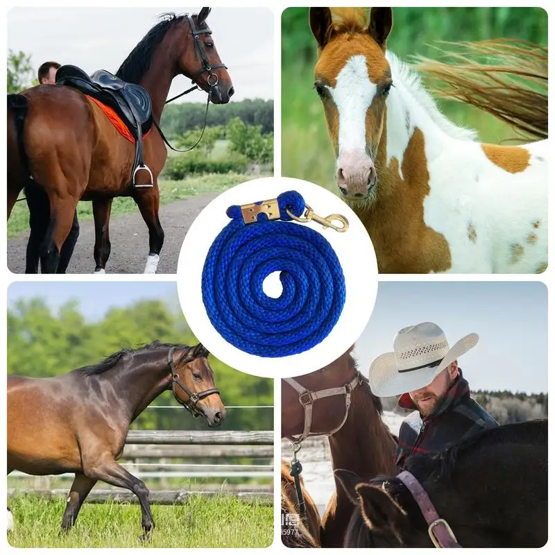 Corde de plomb pour l\'entraînement des chevaux, 6,5 pieds, avec gâchette, Bull Snap, pour une manipulation efficace, longue marche, équitation