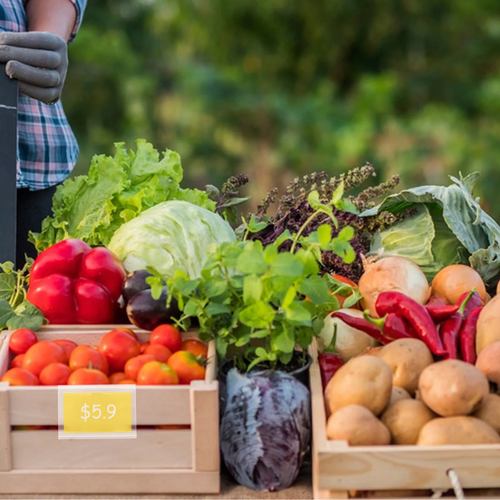 

50Pcs Clear Plastic Label Holders Easy Attach Detach Shelf Edge Sign Clips for Retail Store Organization