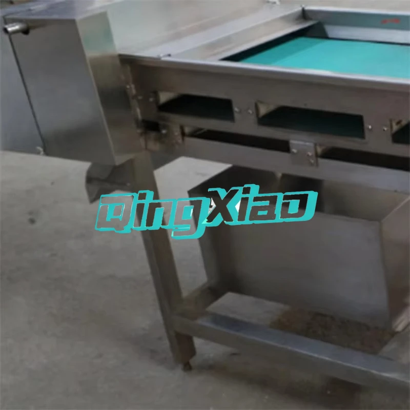 Vegetable Processing Machine Slicing Seaweed Banana Sliced Cut Mushroom Slicer Machine Food Supporting Equipment view 4