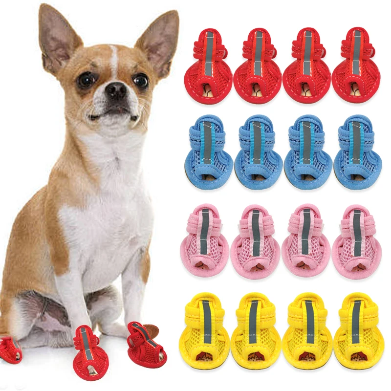 #7 Latest Puppy Boots Updates