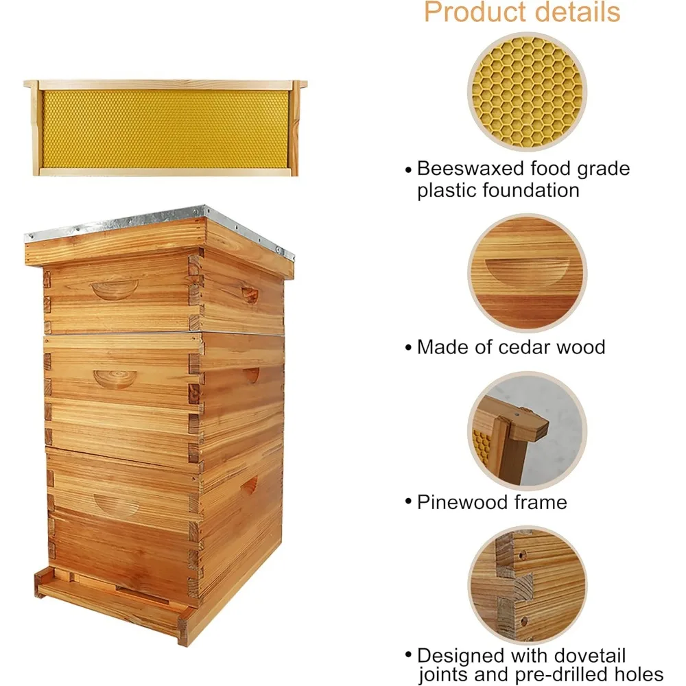 10-Frame Bee Hive Complete Beehive Kit Beeswax Coated Beehive Include Frames and Foundation Sheets for All Beekeeping Levels (2