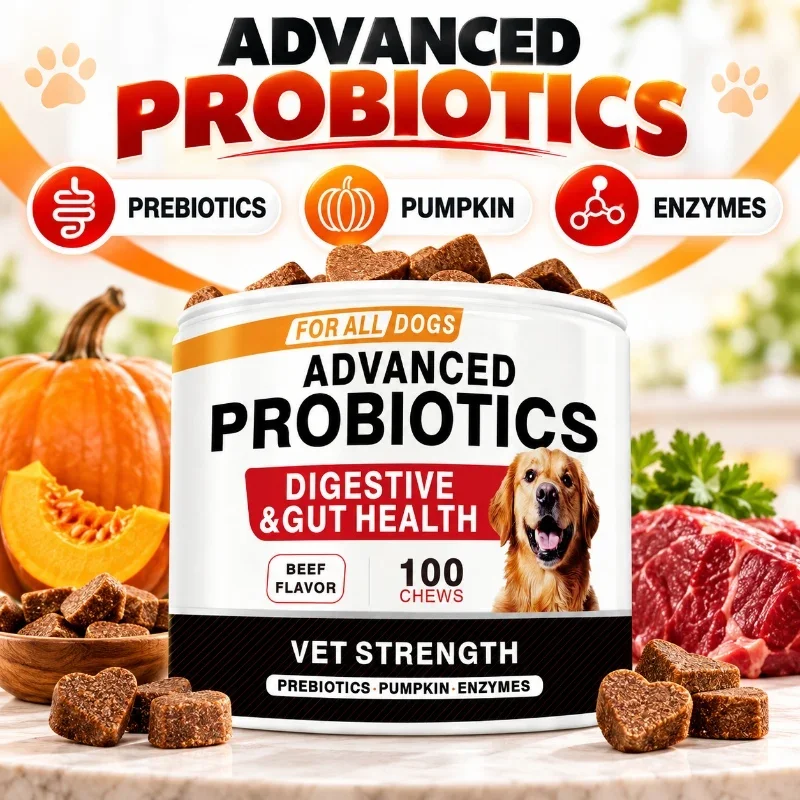 Advanced Probiotic Soft Chews for Dogs with Prebiotics Pumpkin Digestive Enzymes Beef Flavor 100 Chews 1 Advanced Probiotic Soft Chews for Dogs with Prebiotics Pumpkin Digestive Enzymes Beef Flavor 100 Chews 1