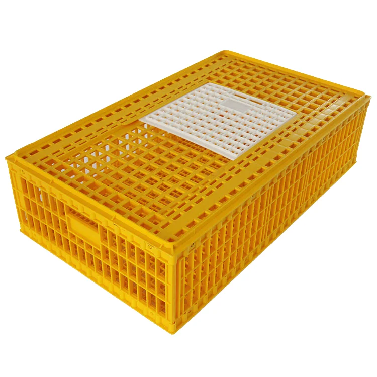 

Professional Plastic H-Type Live Chicken Transport Cages New Conditions Portable Farm Animal Cages For Sale