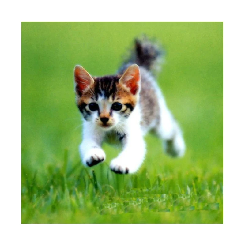 Telecamere per campanello WiFi Radar per visione notturna Rilevatore di movimento PIR Smart Life APP Telecamera spioncino per occhi 1080P Visualizzatore digitale 5000mAh