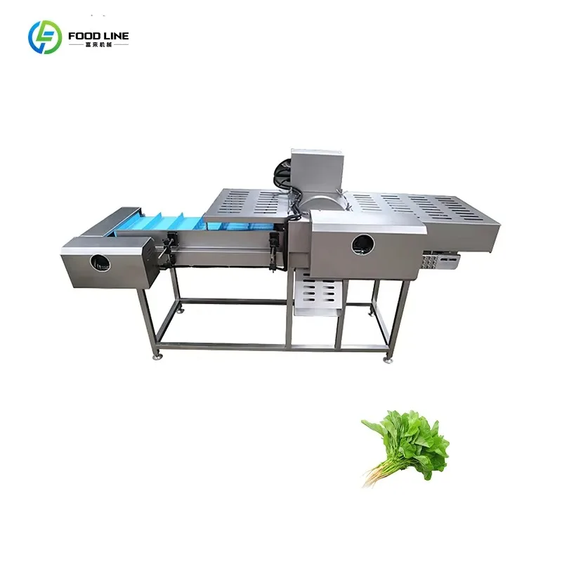 Automatic Fruit Vegetable Cutter Stainless Steel Food Cutting Processing Equipment
